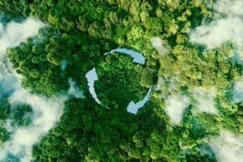 7 Langkah Sederhana Menerapkan Go Green di Rumah